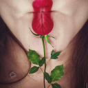 sane3alkalaseen avatar