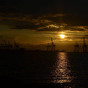 sanfrannotcisco avatar