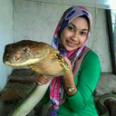 sangapburitalautoh avatar