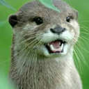 sanguineassasin avatar