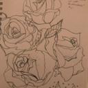 sanguineaurora avatar