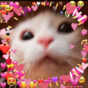 sanguinesunshinee avatar