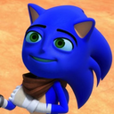 sanicthehedgeblog avatar
