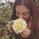 sanity-meets-vanity avatar