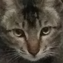 sanjigelion-01 avatar