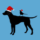 sansansecretsanta2024 avatar