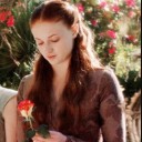 sansaslefthand avatar