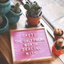 sansevieriahahnii avatar