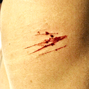 sanshainecommeunboucher avatar