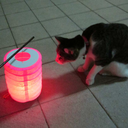 sanssouciavecmoi avatar