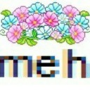 sapienceishell avatar