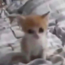 sapphic-storm69 avatar