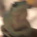 sapphic-struggling avatar