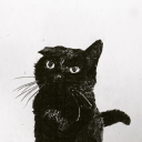 sapphic-wasteland avatar