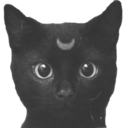 sapphicali-ze avatar