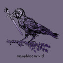sapphiccorvid avatar