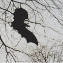 sapphicdreamgirl avatar