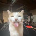 sapphicinrage avatar