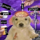 sapphiclysexual avatar