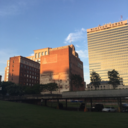 sapphicsoftyarchive avatar