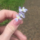 sapphicstarstufff avatar