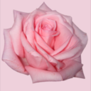 sapphicsweetie-ismoving avatar