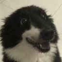 sapphictechwitch avatar