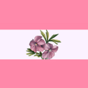 sapphicuserboxes avatar