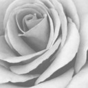 sapphire-witchling avatar