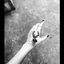 sapphireandromeda-blog avatar