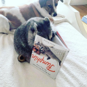 sapphirelightningbug avatar