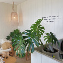 sapphireluxe-blog avatar