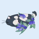 sapphireroses282 avatar