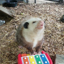 sapphoandvanzetti avatar