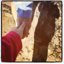 sapphos-throne avatar