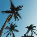 sappyandalone avatar