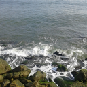 sapsalasikfiyona avatar