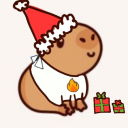 sapybara avatar