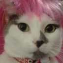 saquenmedevzla avatar