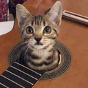 sara1salvationist avatar