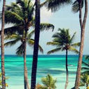 saraalexandraa avatar