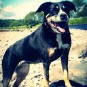 saraferdarling avatar