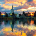 saraggreenleaf avatar