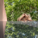 sarah-came-home avatar