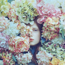 sarah-likes-flowers avatar