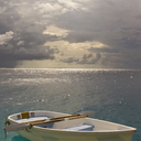 sarah-the-angel avatar