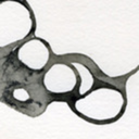 sarahannconner avatar