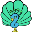 sarahb7789-blog avatar