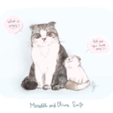 sarahlautner1 avatar