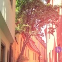 sarahnara-sauce avatar